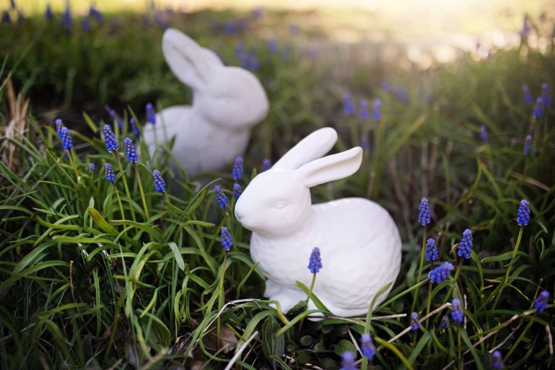 Hop Into Easter with our Easter Essentials Gardenworks