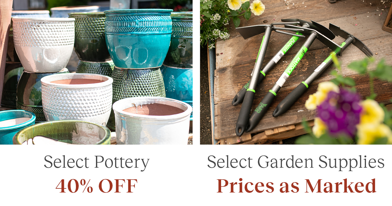 Garden Centre North Vancouver Gardenworks North Shore