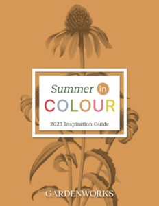 Summer in Colour: 2023 Inspiration Guide