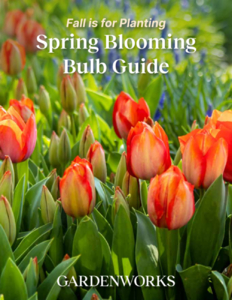 Fall is for Planting: Spring Blooming Bulb Guide