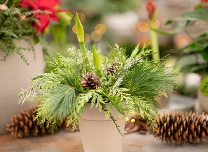 Discover a world of outdoor activities at GARDENWORKS. From gardening workshops to community events, there's something for everyone. Explore now!