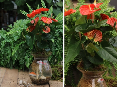 Discover a world of outdoor activities at GARDENWORKS. From gardening workshops to community events, there's something for everyone. Explore now!