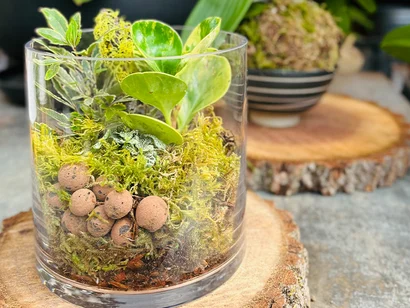 Discover a world of outdoor activities at GARDENWORKS. From gardening workshops to community events, there's something for everyone. Explore now!