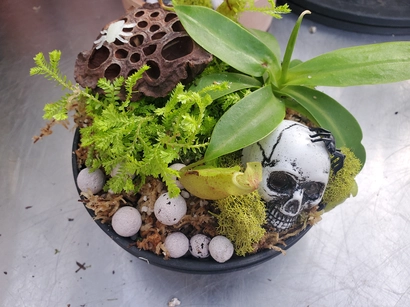 Discover a world of outdoor activities at GARDENWORKS. From gardening workshops to community events, there's something for everyone. Explore now!