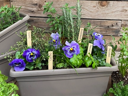 Culinary Herb Garden Workshop