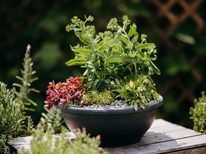 Discover a world of outdoor activities at GARDENWORKS. From gardening workshops to community events, there's something for everyone. Explore now!