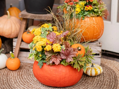 Discover a world of outdoor activities at GARDENWORKS. From gardening workshops to community events, there's something for everyone. Explore now!