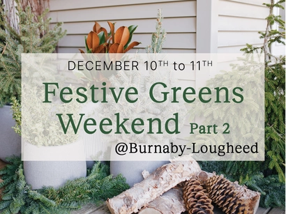 Festive Greens Weekend part 2 @ Burnaby-Lougheed