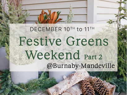 Festive Greens Weekend Part 2 @ Burnaby-Mandeville