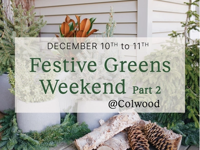Festive Greens Weekend Part 2 @ Colwood