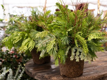 Discover a world of outdoor activities at GARDENWORKS. From gardening workshops to community events, there's something for everyone. Explore now!