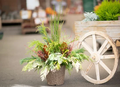 Discover a world of outdoor activities at GARDENWORKS. From gardening workshops to community events, there's something for everyone. Explore now!