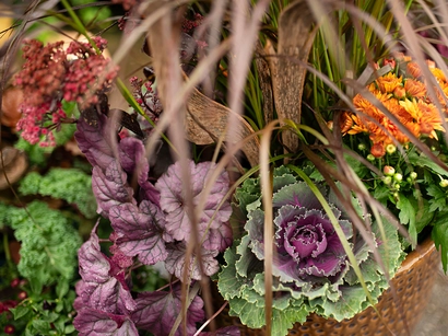 Discover a world of outdoor activities at GARDENWORKS. From gardening workshops to community events, there's something for everyone. Explore now!