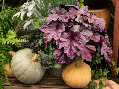 Discover a world of outdoor activities at GARDENWORKS. From gardening workshops to community events, there's something for everyone. Explore now!