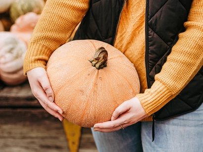 Discover a world of outdoor activities at GARDENWORKS. From gardening workshops to community events, there's something for everyone. Explore now!