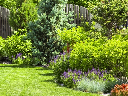 Free Seminar: Creating Privacy in your Garden or Patio with Plants