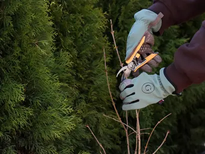 Discover a world of outdoor activities at GARDENWORKS. From gardening workshops to community events, there's something for everyone. Explore now!