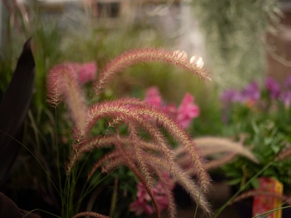 Discover a world of outdoor activities at GARDENWORKS. From gardening workshops to community events, there's something for everyone. Explore now!