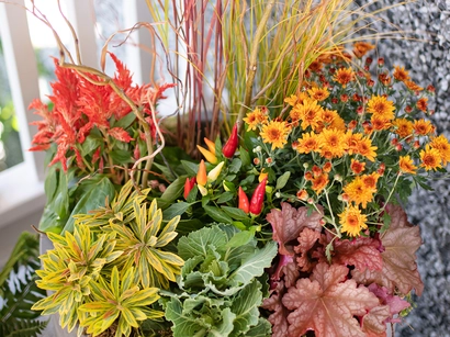 Discover a world of outdoor activities at GARDENWORKS. From gardening workshops to community events, there's something for everyone. Explore now!