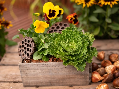 Discover a world of outdoor activities at GARDENWORKS. From gardening workshops to community events, there's something for everyone. Explore now!