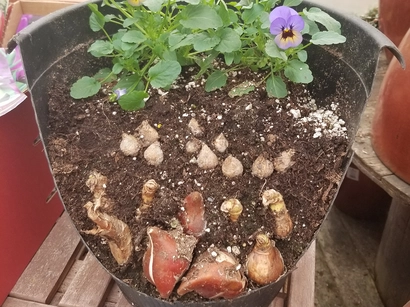 Discover a world of outdoor activities at GARDENWORKS. From gardening workshops to community events, there's something for everyone. Explore now!