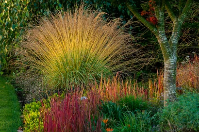 Discover a world of outdoor activities at GARDENWORKS. From gardening workshops to community events, there's something for everyone. Explore now!
