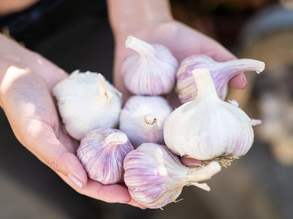 Discover a world of outdoor activities at GARDENWORKS. From gardening workshops to community events, there's something for everyone. Explore now!