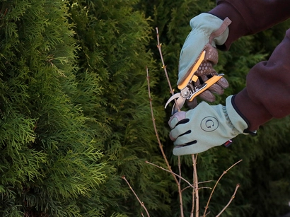 Discover a world of outdoor activities at GARDENWORKS. From gardening workshops to community events, there's something for everyone. Explore now!