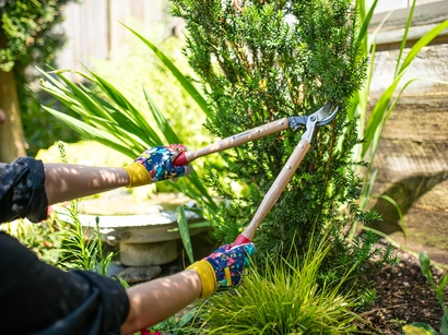 Discover a world of outdoor activities at GARDENWORKS. From gardening workshops to community events, there's something for everyone. Explore now!