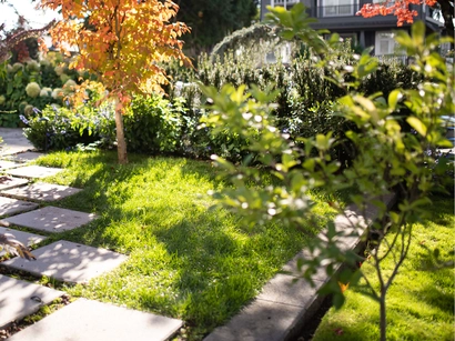 Discover a world of outdoor activities at GARDENWORKS. From gardening workshops to community events, there's something for everyone. Explore now!