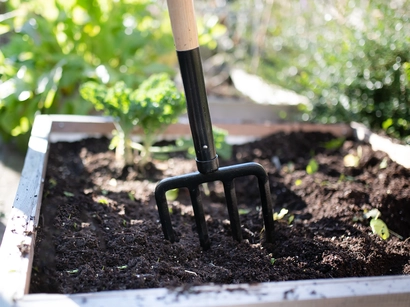 Discover a world of outdoor activities at GARDENWORKS. From gardening workshops to community events, there's something for everyone. Explore now!