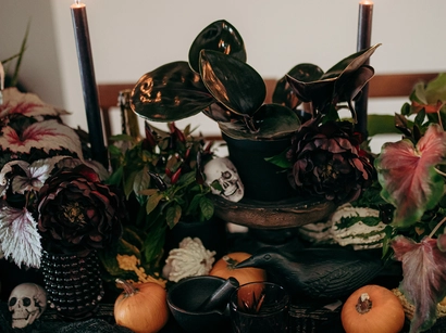Discover a world of outdoor activities at GARDENWORKS. From gardening workshops to community events, there's something for everyone. Explore now!