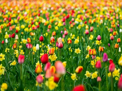 Discover a world of outdoor activities at GARDENWORKS. From gardening workshops to community events, there's something for everyone. Explore now!