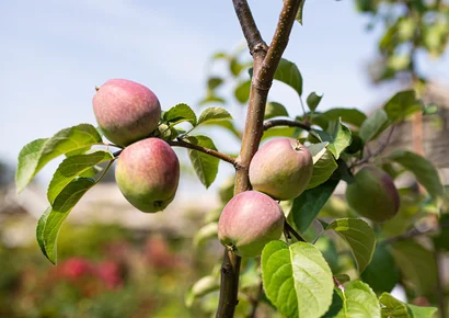 Discover a world of outdoor activities at GARDENWORKS. From gardening workshops to community events, there's something for everyone. Explore now!