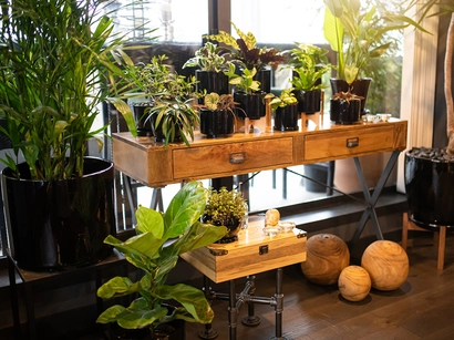 Discover a world of outdoor activities at GARDENWORKS. From gardening workshops to community events, there's something for everyone. Explore now!