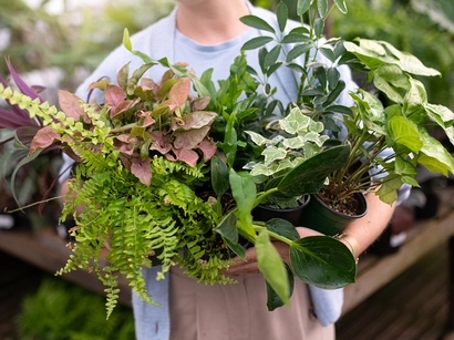 Discover a world of outdoor activities at GARDENWORKS. From gardening workshops to community events, there's something for everyone. Explore now!