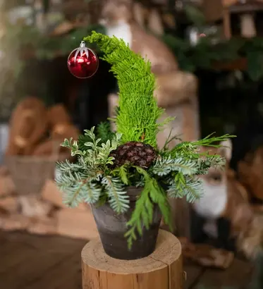 Discover a world of outdoor activities at GARDENWORKS. From gardening workshops to community events, there's something for everyone. Explore now!