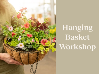 Discover a world of outdoor activities at GARDENWORKS. From gardening workshops to community events, there's something for everyone. Explore now!