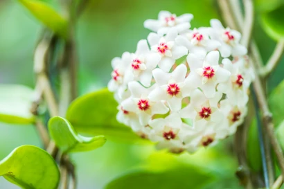 Discover a world of outdoor activities at GARDENWORKS. From gardening workshops to community events, there's something for everyone. Explore now!