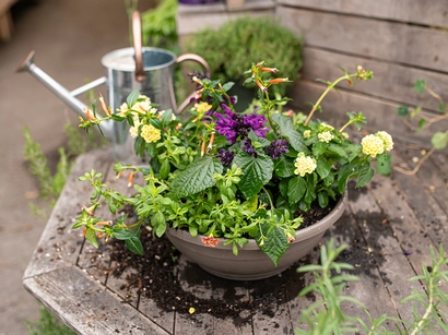 Discover a world of outdoor activities at GARDENWORKS. From gardening workshops to community events, there's something for everyone. Explore now!