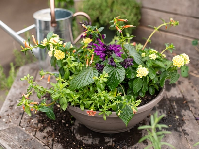 Discover a world of outdoor activities at GARDENWORKS. From gardening workshops to community events, there's something for everyone. Explore now!