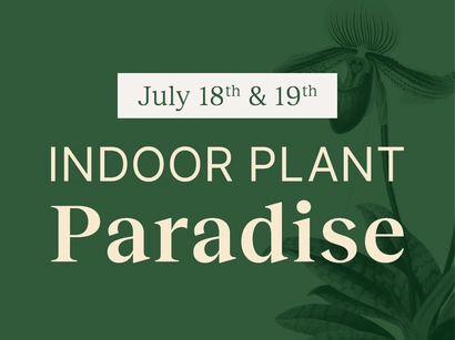 Discover a world of outdoor activities at GARDENWORKS. From gardening workshops to community events, there's something for everyone. Explore now!