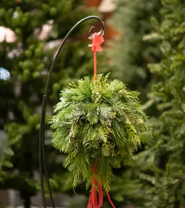 Discover a world of outdoor activities at GARDENWORKS. From gardening workshops to community events, there's something for everyone. Explore now!