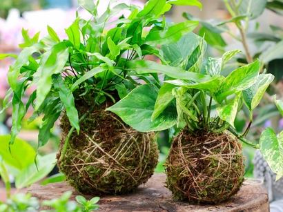 Discover a world of outdoor activities at GARDENWORKS. From gardening workshops to community events, there's something for everyone. Explore now!