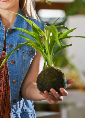 Discover a world of outdoor activities at GARDENWORKS. From gardening workshops to community events, there's something for everyone. Explore now!