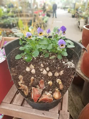 Discover a world of outdoor activities at GARDENWORKS. From gardening workshops to community events, there's something for everyone. Explore now!