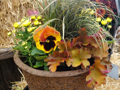 Discover a world of outdoor activities at GARDENWORKS. From gardening workshops to community events, there's something for everyone. Explore now!