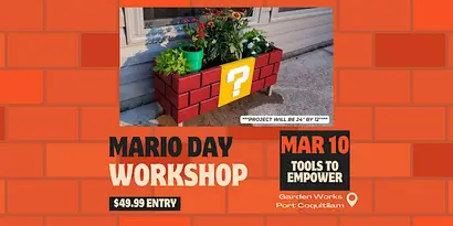 Mario Flower Power Workshop