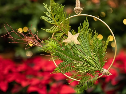 Discover a world of outdoor activities at GARDENWORKS. From gardening workshops to community events, there's something for everyone. Explore now!
