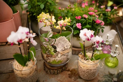 Discover a world of outdoor activities at GARDENWORKS. From gardening workshops to community events, there's something for everyone. Explore now!